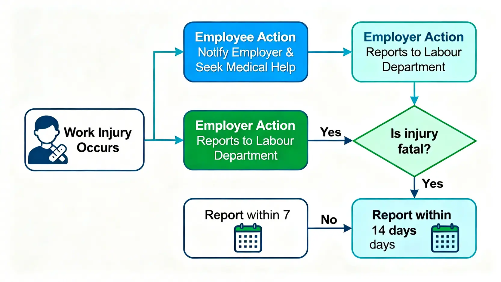 香港工傷完全指南:由定義、呈報程序到病假錢計算 (僱員補償條例懶人包) 4 一張工傷呈報流程圖,顯示從意外發生、僱員通知僱主及求醫,到僱主需在7天(致命個案)或14天(一般個案)內向勞工處呈報的完整步驟。